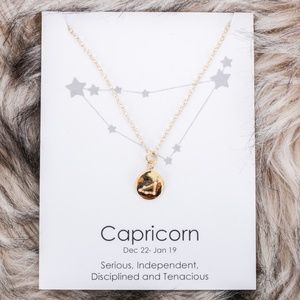 NWT Farrah B Constellation Zodiac Necklace